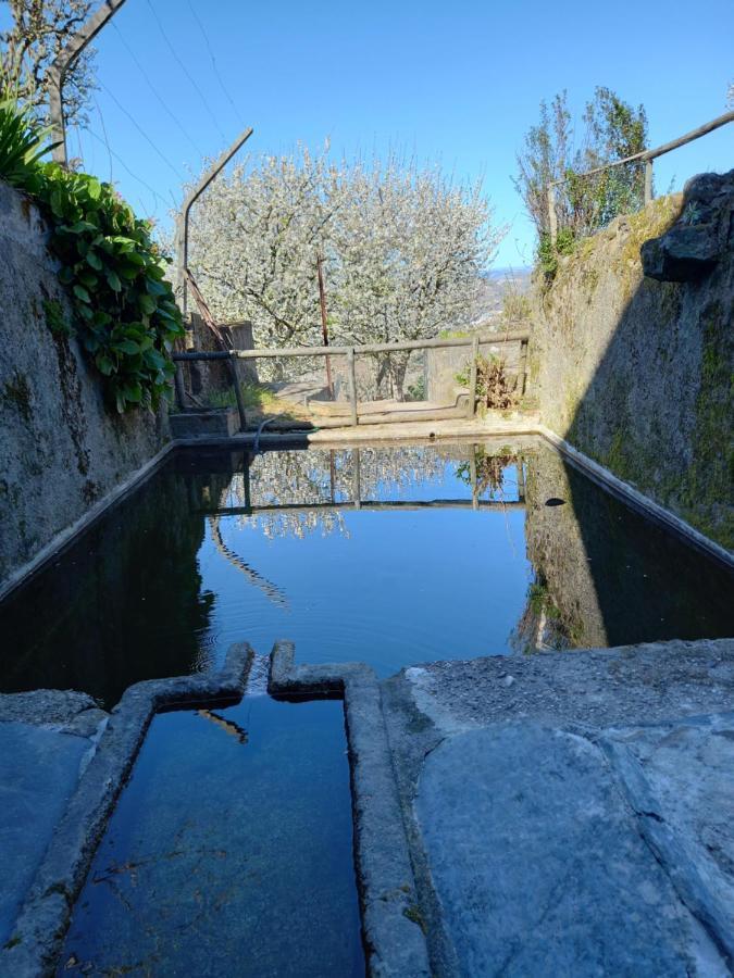 Quinta Casa Do Quintal Villa Lamego Kültér fotó