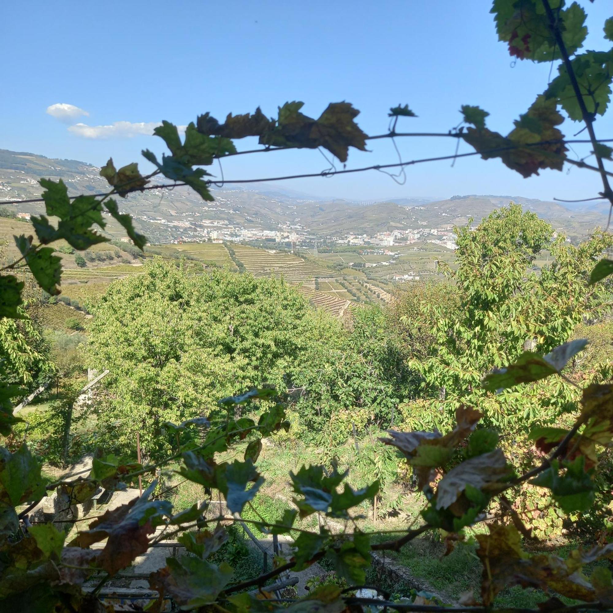 Quinta Casa Do Quintal Villa Lamego Szoba fotó