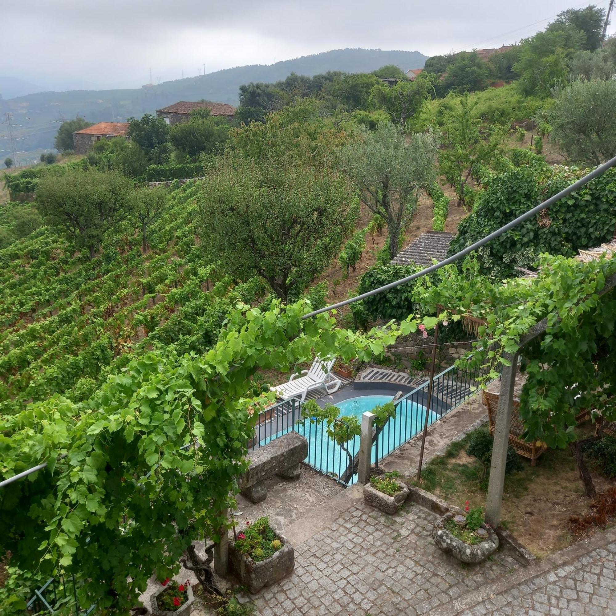 Quinta Casa Do Quintal Villa Lamego Kültér fotó